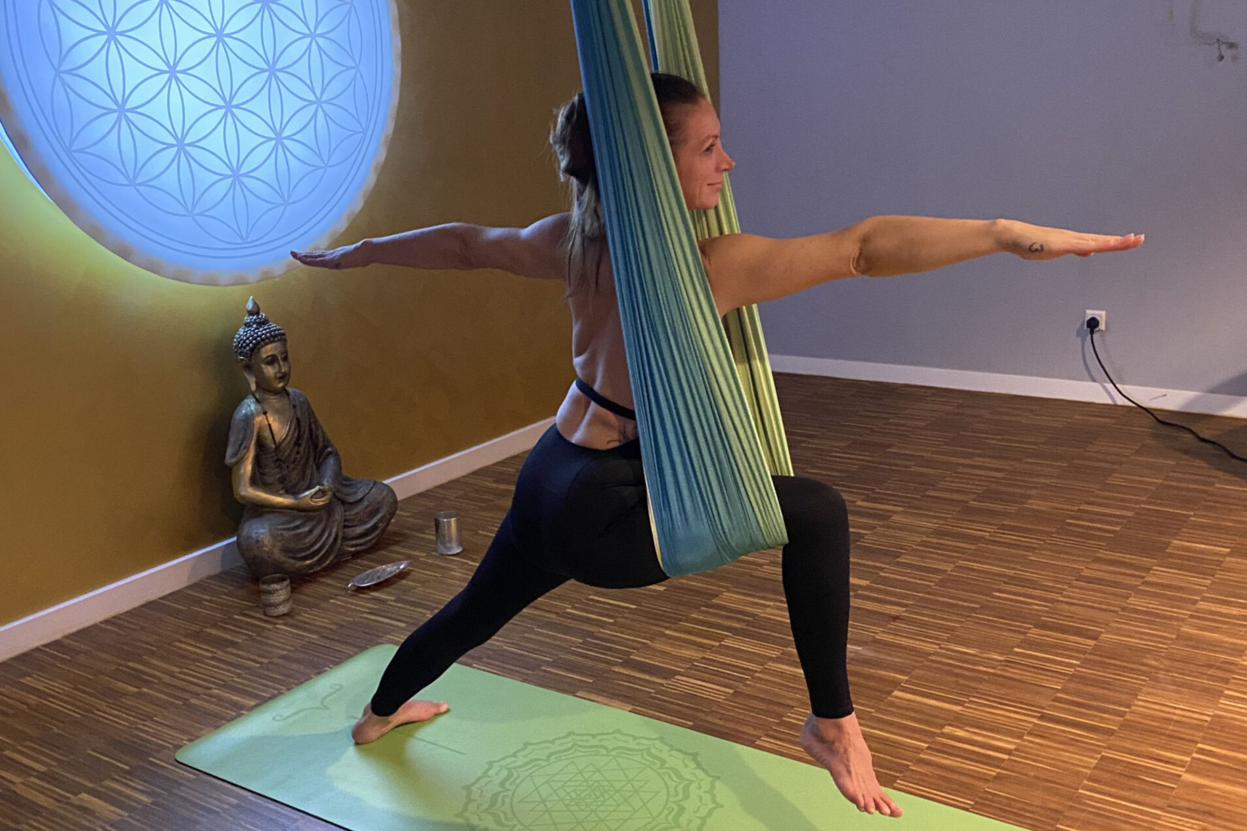 Aerial-Yoga-Mannheim-Rhein-Neckar-108-Hotyoga
